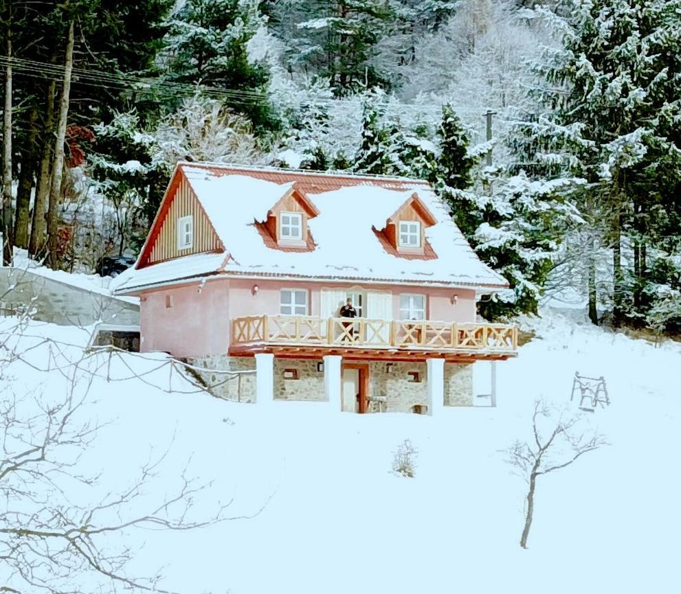 منزل الضيف Hodruša  في Kopanicky Dvor المظهر الخارجي الصورة